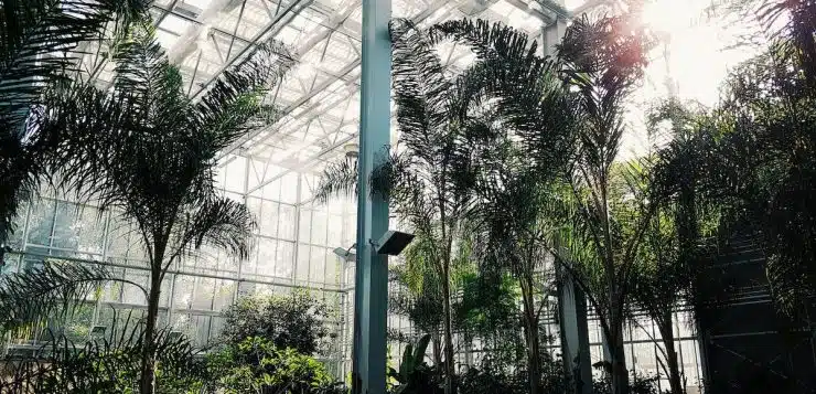 Découvrez Les Magnifiques Jardins Botaniques à Visiter Pendant Vos ...