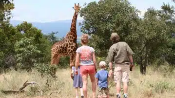 Les bienfaits d’un safari en Tanzanie