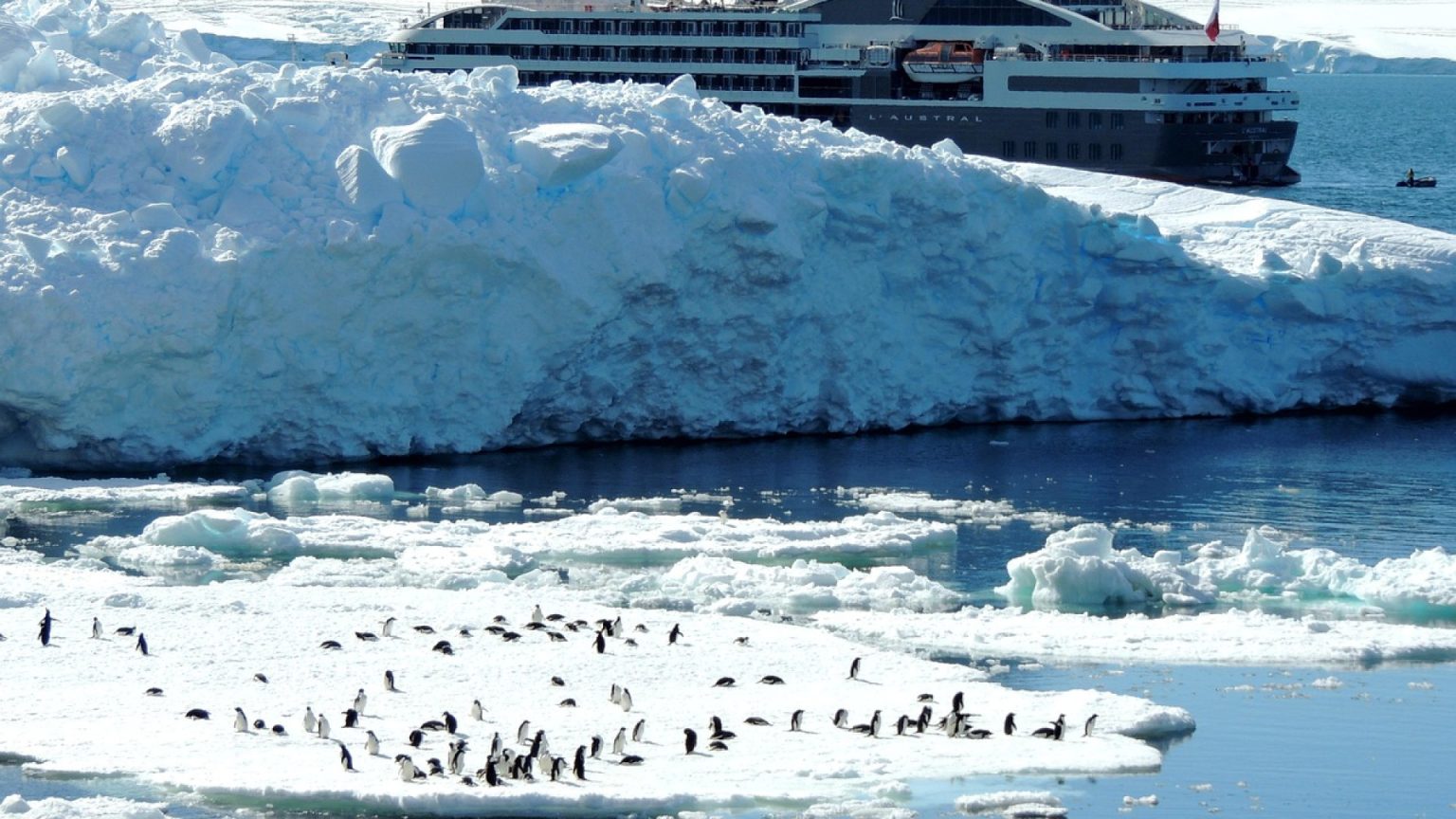 Partir en Antarctique avec Ponant : à quoi s'attendre côté prix et prestations ?