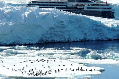 Partir en Antarctique avec Ponant : à quoi s'attendre côté prix et prestations ?