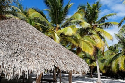 Vacances de rêve en République Dominicaine depuis la belgique : all inclusive