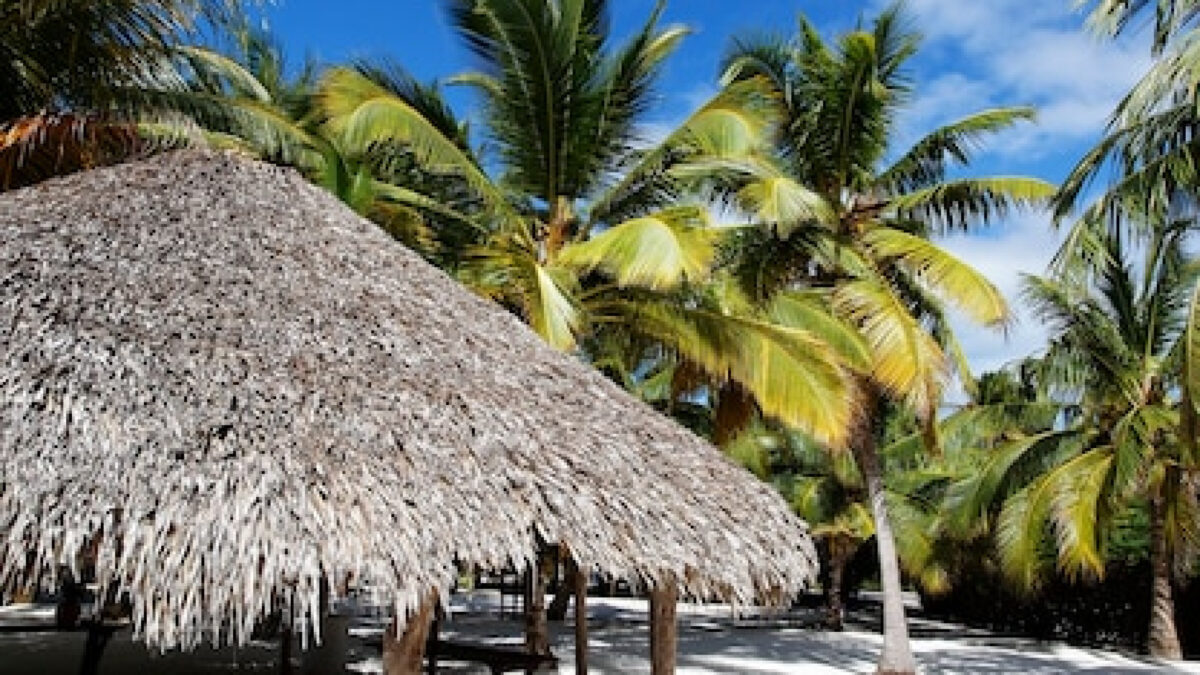 Vacances de rêve en République Dominicaine depuis la belgique : all inclusive